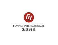 委托人：武汉飞远科技有限公司